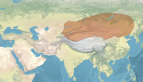 Büyük Hun İmparatorluğu: Mete Han ve Türk Devlet Geleneğinin Başlangıcı ve Avrupa Hun Devleti kapak görseli