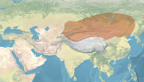 Hun (Xiongnu) hâkimiyet alanı haritası
